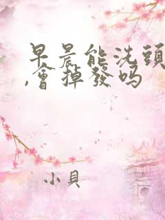 早晨能洗头发吗,会掉发吗