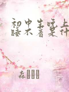 初中生晚上总是睡不着是什么原因