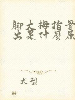 脚大拇指骨节凸出是什么原因