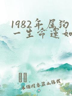 1982年属狗一生命运如何