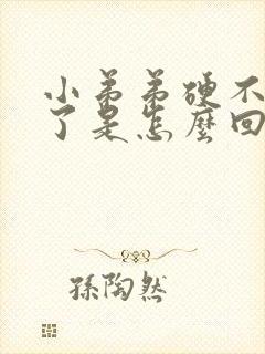 小弟弟硬不起来了是怎么回事