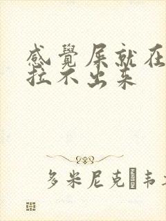 感觉屎就在肛门拉不出来