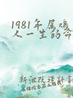 1981年属鸡人一生的命运如何