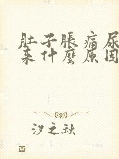 肚子胀痛尿不出来什么原因