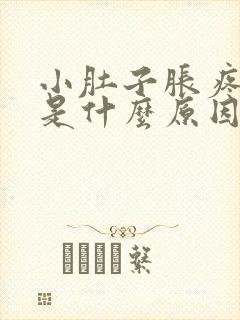 小肚子胀疼两天是什么原因