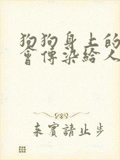 狗狗身上的蜱虫会传染给人吗