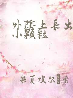 外阴上长出一些小颗粒