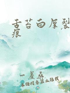 舌苔白厚裂纹齿痕