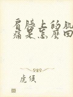 肩膀上的肌肉酸痛是怎么回事