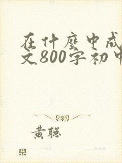 在什么中成长作文800字初中作文