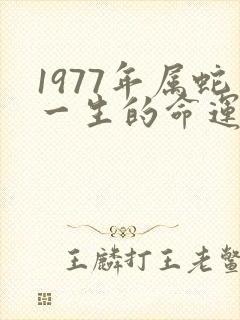 1977年属蛇一生的命运如何