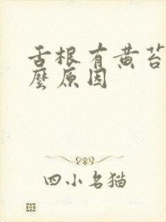 舌根有黄苔是什么原因