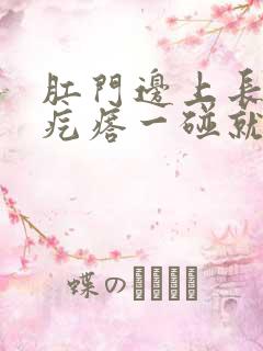 肛门边上长一个疙瘩一碰就疼