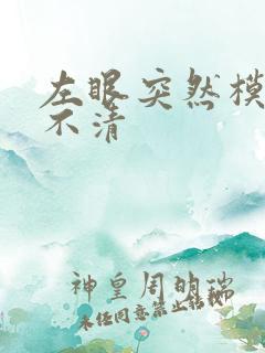 左眼突然模糊看不清