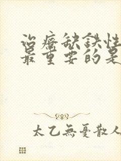 治疗缺铁性贫血最重要的是