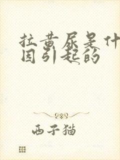 拉黄尿是什么原因引起的