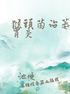 猴头菌治萎缩性胃炎