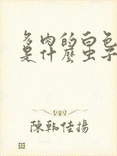 多肉的白色虫子是什么虫子