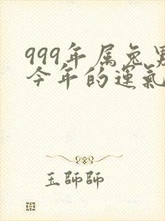 999年属兔男今年的运气