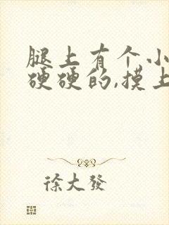 腿上有个小疙瘩硬硬的,摸上去就疼挂什么科