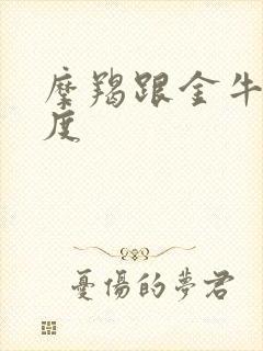 摩羯跟金牛匹配度