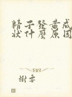 精子发黄成果冻状什么原因