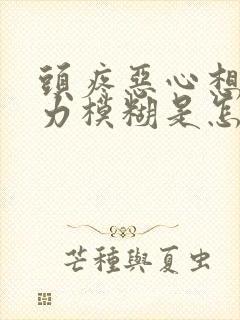 头疼恶心想吐视力模糊是怎么回事