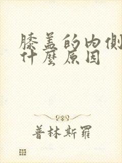 膝盖的内侧疼是什么原因