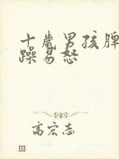 十岁男孩脾气暴躁易怒