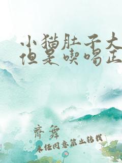 小猫肚子大鼓鼓但是吃喝正常