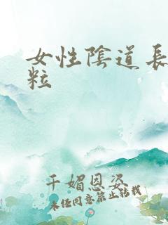 女性阴道长小颗粒