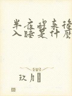 半夜醒来后难以入睡是什么原因