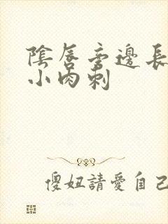 阴唇旁边长了个小肉刺