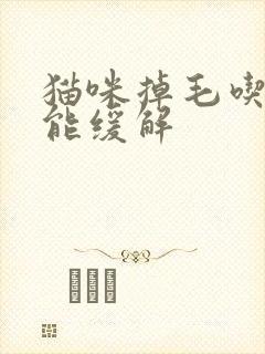 猫咪掉毛吃什么能缓解