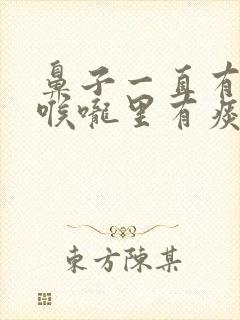 鼻子一直有鼻涕喉咙里有痰怎么回事