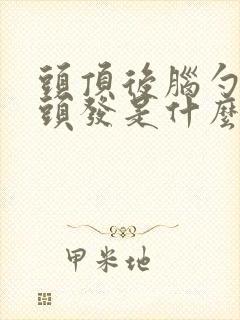 头顶后脑勺长白头发是什么原因