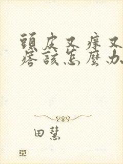 头皮又痒又起疙瘩该怎么办