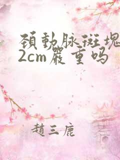 颈动脉斑块0.2cm严重吗