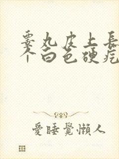 睾丸皮上长了一个白色硬疙瘩