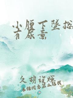 小腹下坠总感觉有尿意