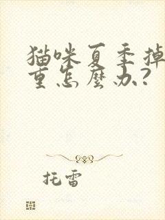 猫咪夏季掉毛严重怎么办?