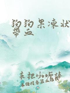 狗狗果冻状便便带血