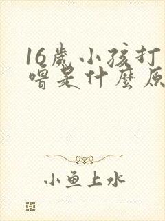 16岁小孩打呼噜是什么原因引起的