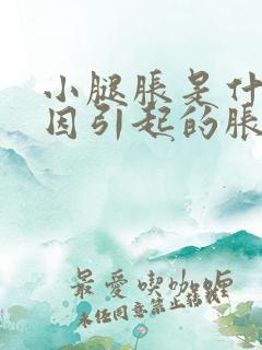 小腿胀是什么原因引起的胀