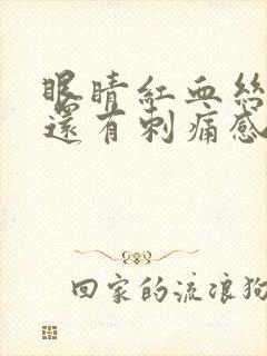 眼睛红血丝很多还有刺痛感是怎么回事