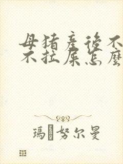 母猪产后不吃食不拉屎怎么办