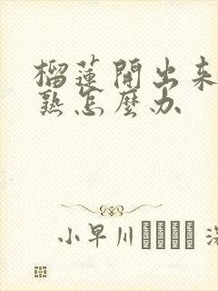 榴莲开出来还没熟怎么办