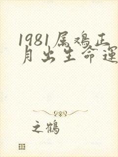 1981属鸡正月出生命运