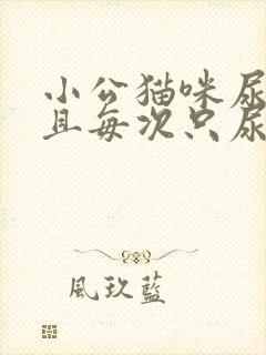 小公猫咪尿频而且每次只尿一点