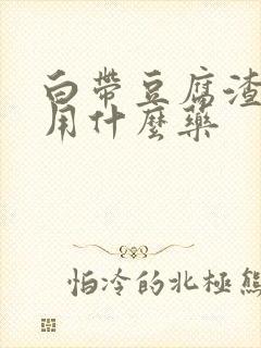 白带豆腐渣状是用什么药